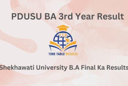 PDUSU BA 3rd Year Result - Shekhawati University B.A Final Ka Results